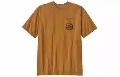 patagonia T