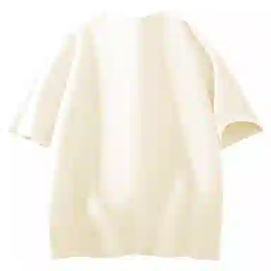 SS25 T