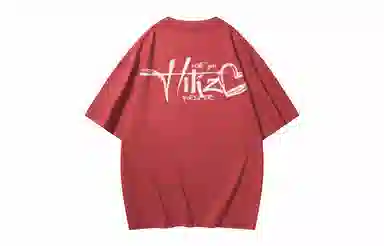 HIKZ T