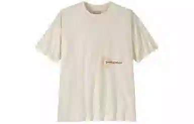 patagonia T
