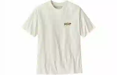 patagonia T