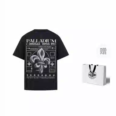 Palladium logoT
