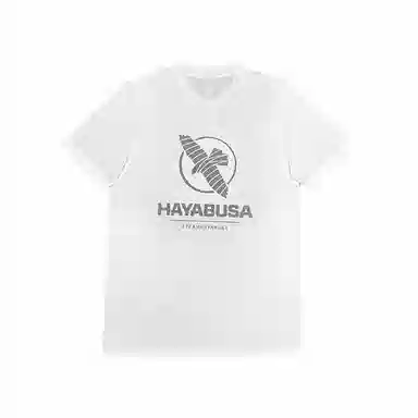 HAYABUSA T