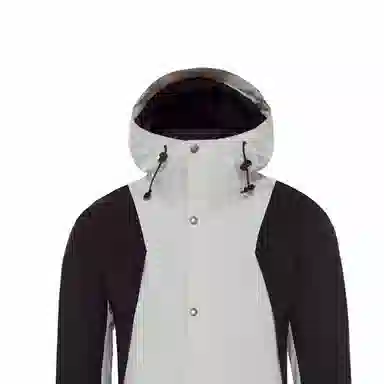 THE NORTH FACE 1994 Retro Mountain Light Gtx Jacket