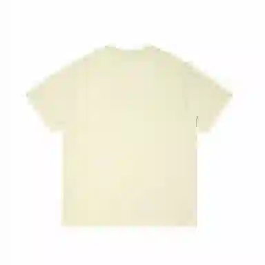 IE T