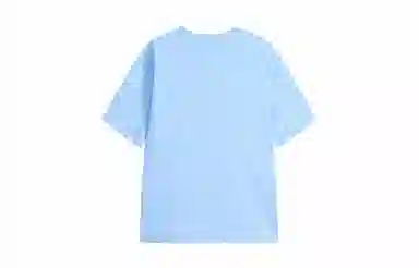 MANYSTON T