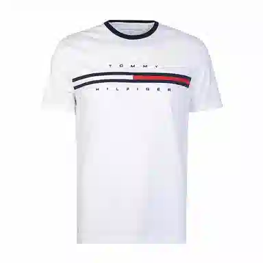 Tommy Hilfiger T