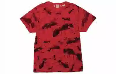 Levis T