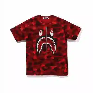 A BATHING APE FW23 T