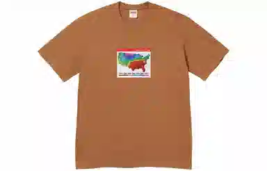 Supreme Weather Tee