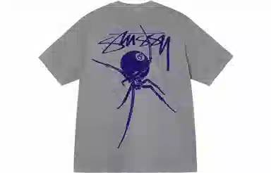 Stussy Arachnid Tee Pigment Dyed T