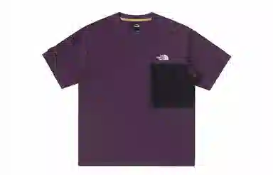 THE NORTH FACE UE SS24 T