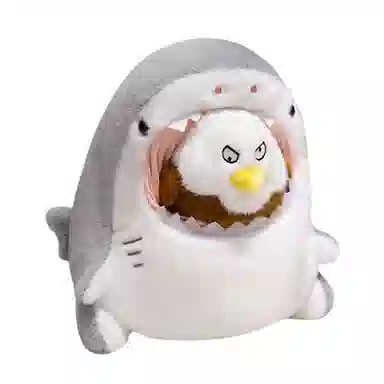 30cm40cm