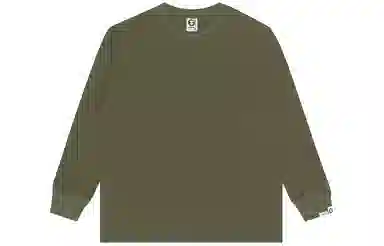 Aape T