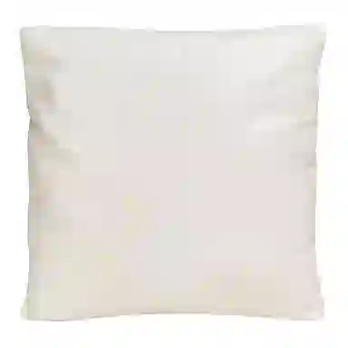 Bottega Veneta Pillow