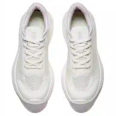 Anta