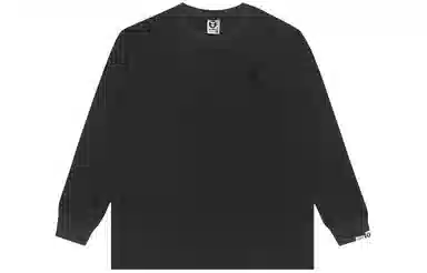 Aape T