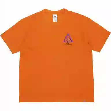 Nike NikeACG T