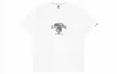 Aape 3DT