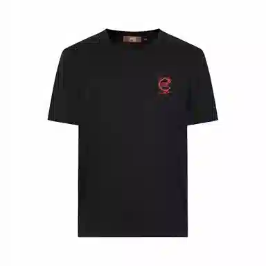 Cavalli Class T