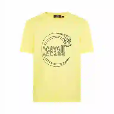 Cavalli Class T