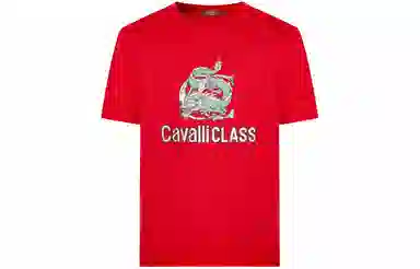 Cavalli Class T