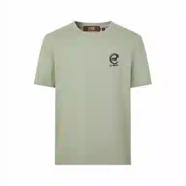 Cavalli Class T