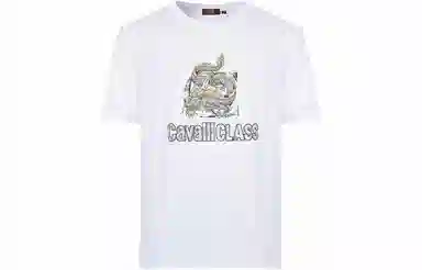 Cavalli Class T