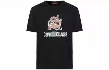 Cavalli Class T