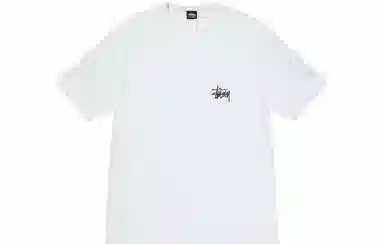 Stussy Ribbed Lettering T-Shirt