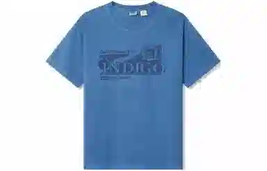 levis T