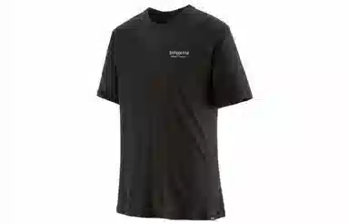 patagonia Capilene Cool Merino Graphic Shirt T