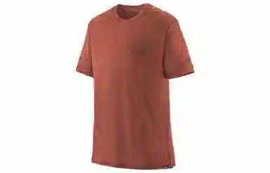 patagonia Capilene Cool Merino Graphic Shirt T
