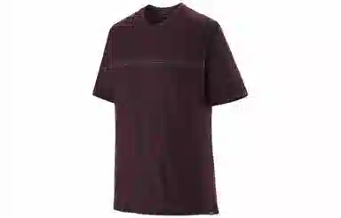 patagonia Capilene Cool Merino Graphic Shirt T