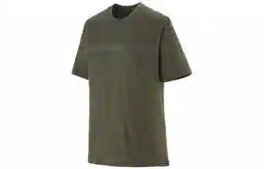 patagonia Capilene Cool Merino Graphic Shirt T