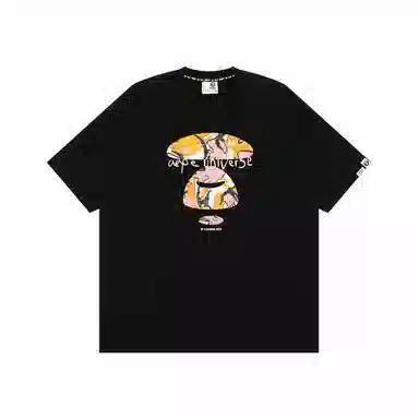 Aape T