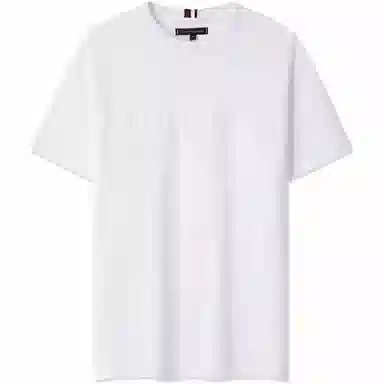 Tommy Hilfiger logoT