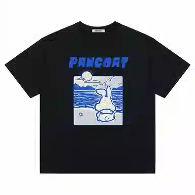 Pancoat T