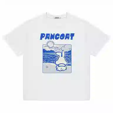 Pancoat T