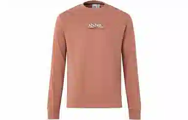 adidas originals City Skate Long Sleeve Tee T
