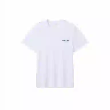 PIONEER CAMP T