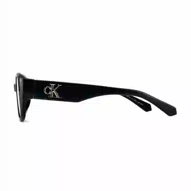 Calvin Klein Cat Eye Sunglasses