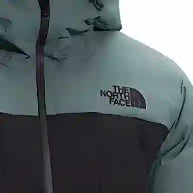 THE NORTH FACE Logo