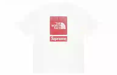 Supreme x The North Face S/S Top