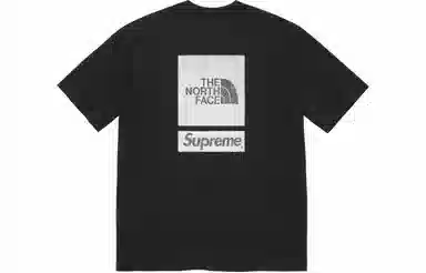 Supreme x The North Face S/S Top