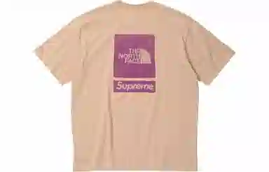 Supreme x The North Face S/S Top