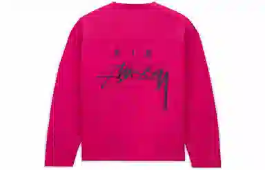 Nike x Stussy Logo T