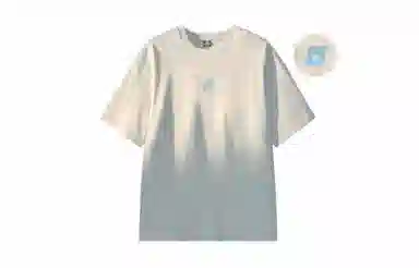 MANYSTON T