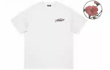 FALIAMS T