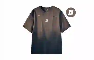 MANYSTON T